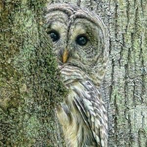 Meet your Posher, Pamela